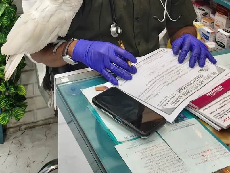 DR.NETKAR'S PET CARE CLINIC & PET SHOP, photo 4