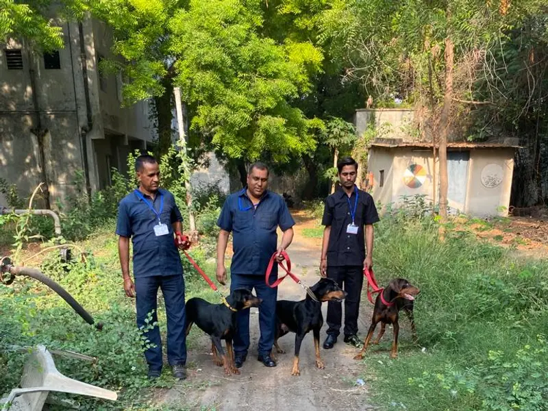 Off Leash Dog Training & Security Services (Dog Training Centre in Thane, Dog Lodging and Boarding in Thane), photo 3
