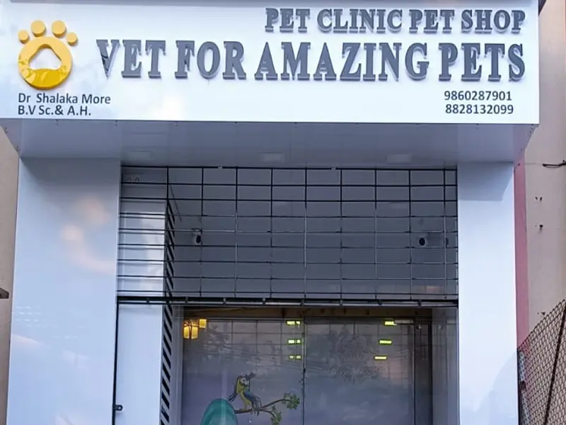 Vet 4 Amazing Pets, photo 3