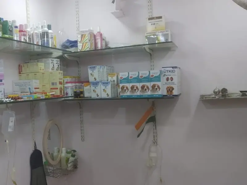 PET HEALTH CARE, photo 4