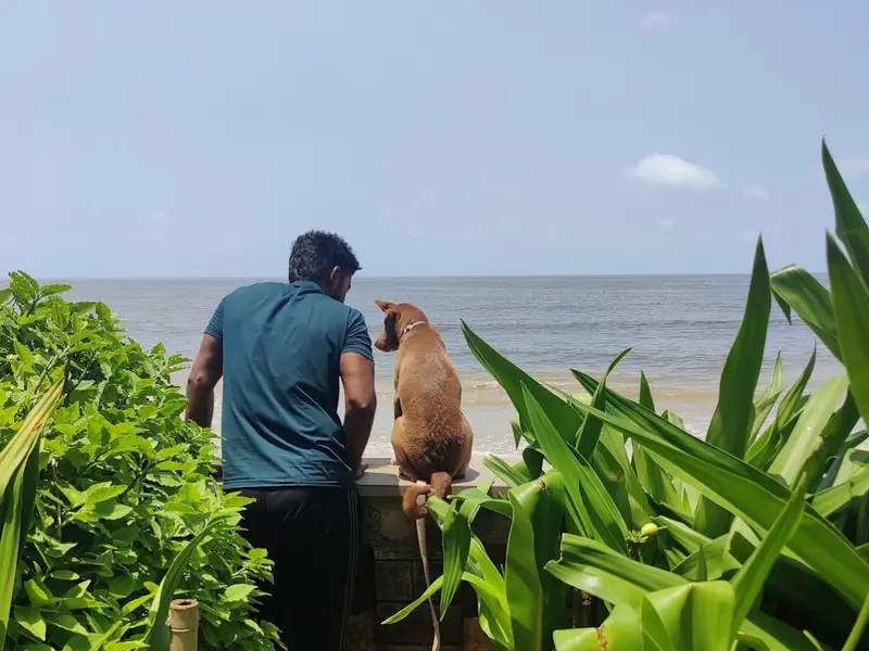 Sayyed Dog Trainer, photo 4