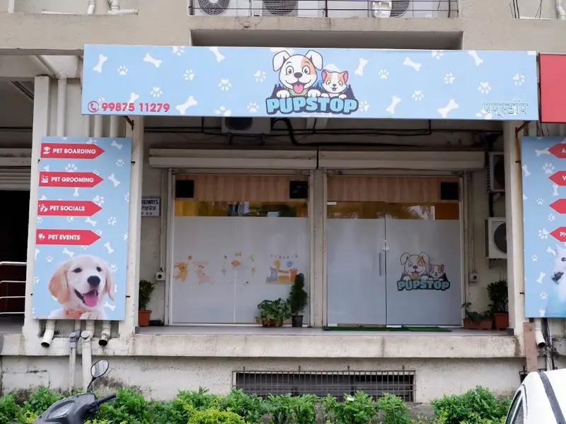 Pupstop: A Dog Boarding Centre, photo 5