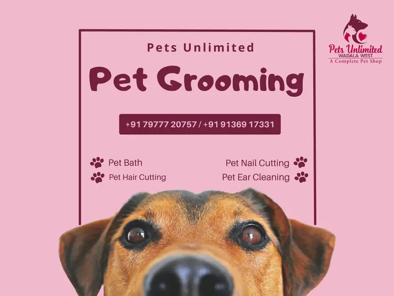 THE PETS UNLIMITED, photo 3