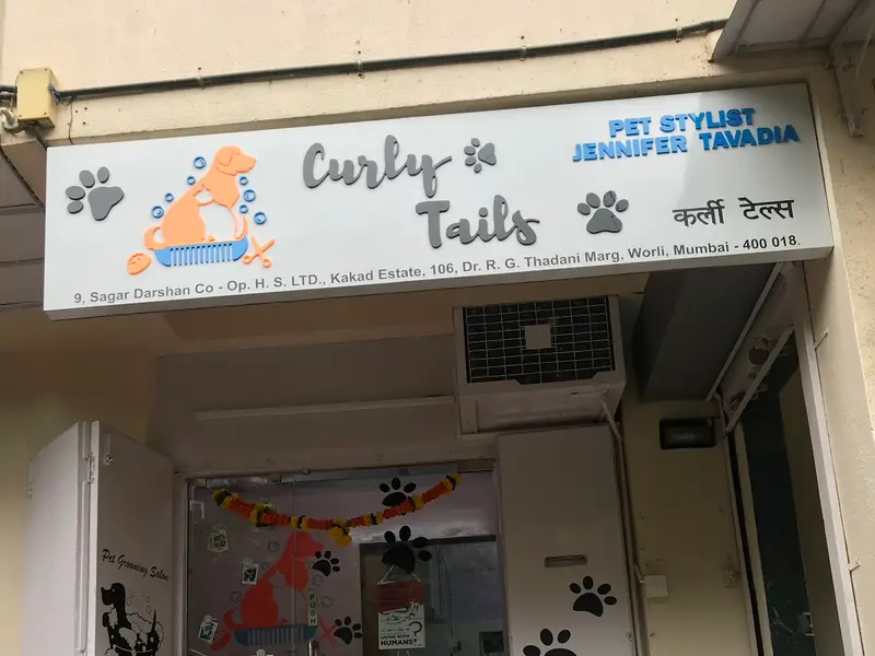 Curly Tails - Pet Grooming Salon, photo 3