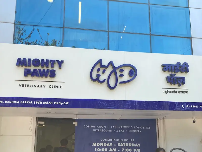 Mighty Paws Veterinary Clinic, photo 4