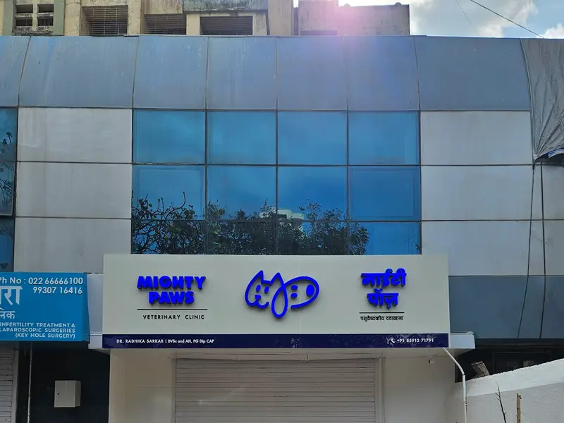 Mighty Paws Veterinary Clinic