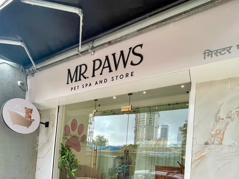 MR.PAWS, photo 2