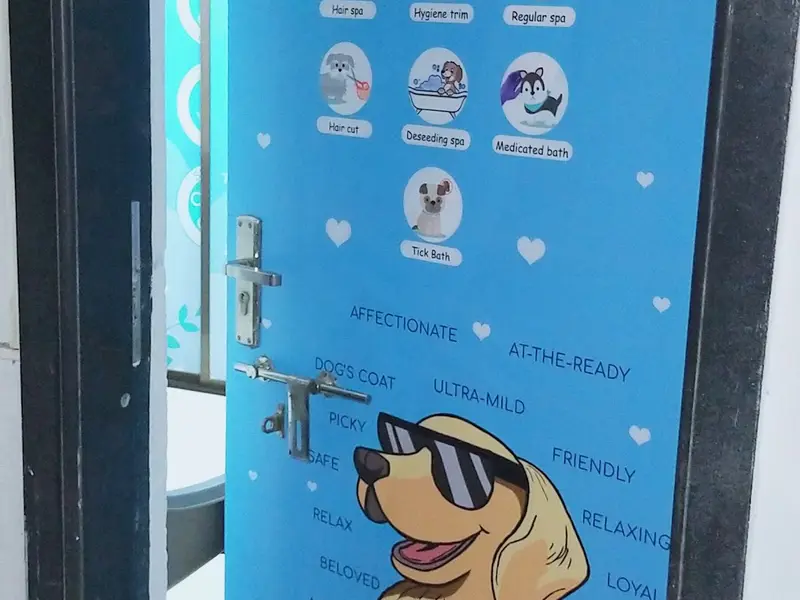 pets corner petshop and parlour, photo 3