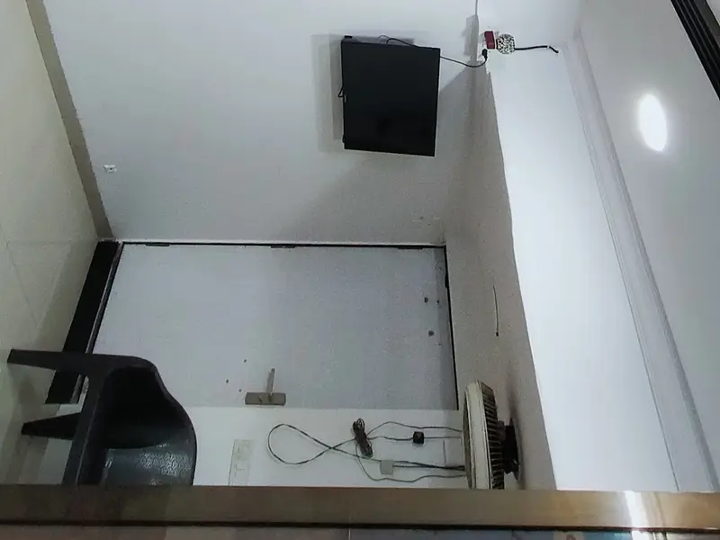 pets corner petshop and parlour, photo 5