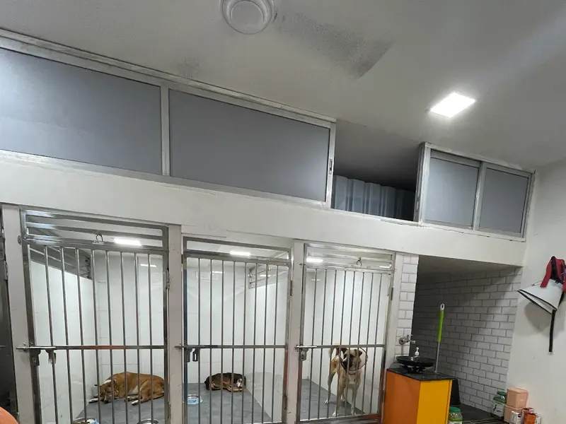 Raksha Animal Welfare Center, photo 3