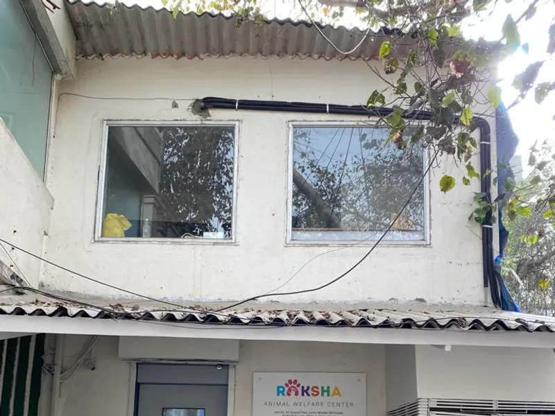 Raksha Animal Welfare Center, photo 4
