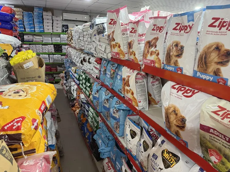 Pet Clinic, photo 2