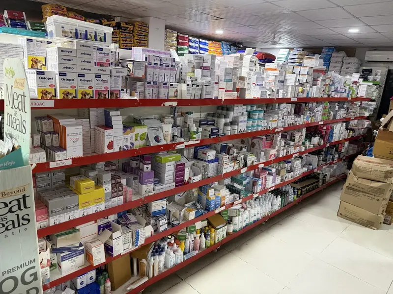 Pet Clinic, photo 3