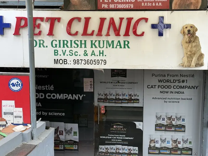 Pet Clinic, photo 4