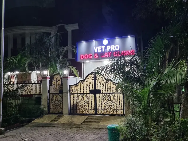 Vet Pro Dog and Cat Clinic, photo 2