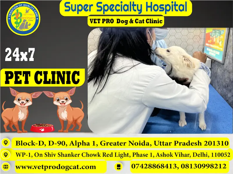 Vet Pro Dog and Cat Clinic, photo 4