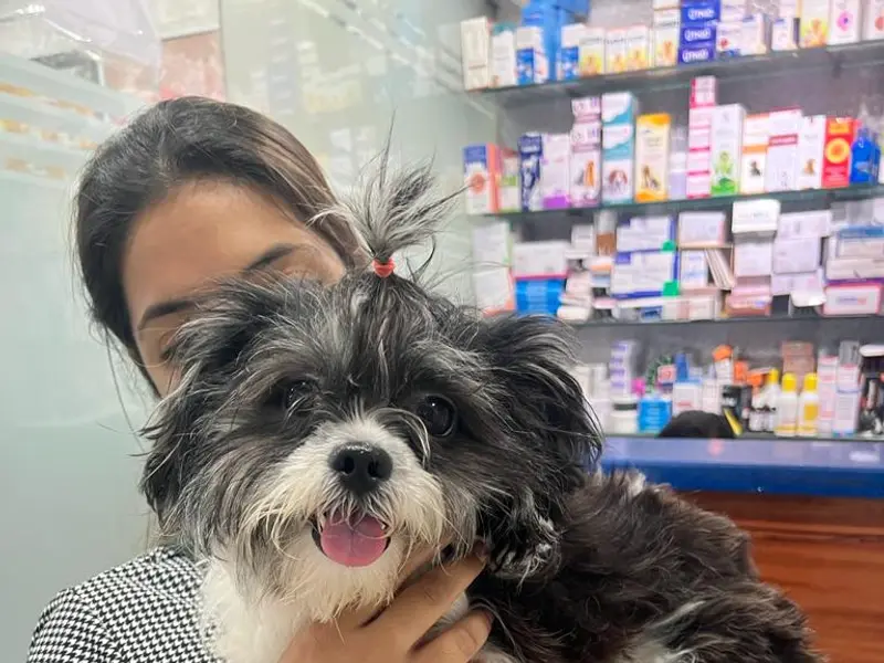 Vet Pro Dog and Cat Clinic, photo 5