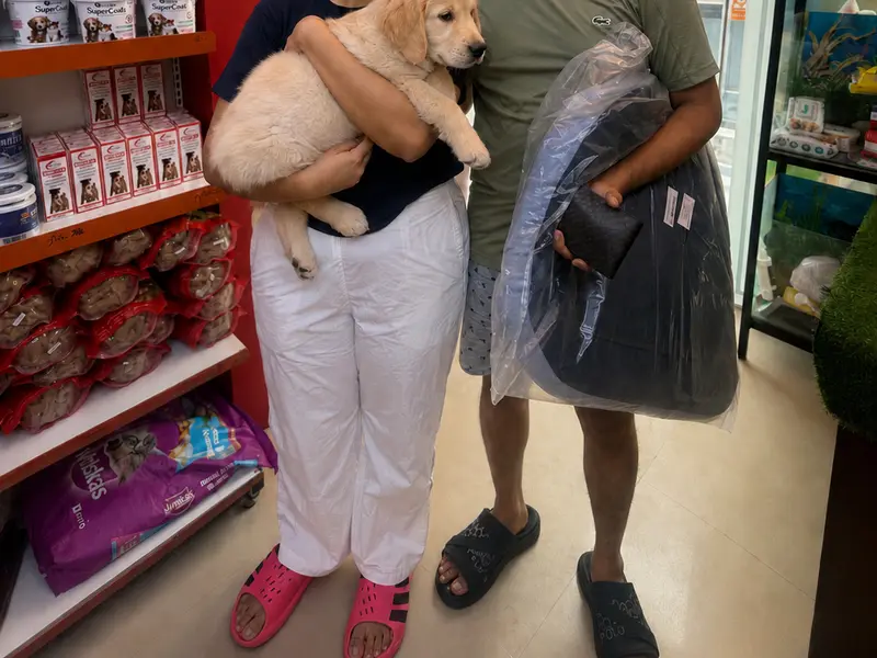 Garhwal Pet Shop | Pet Shop In Noida | Pet Shop In Greater Noida, photo 3