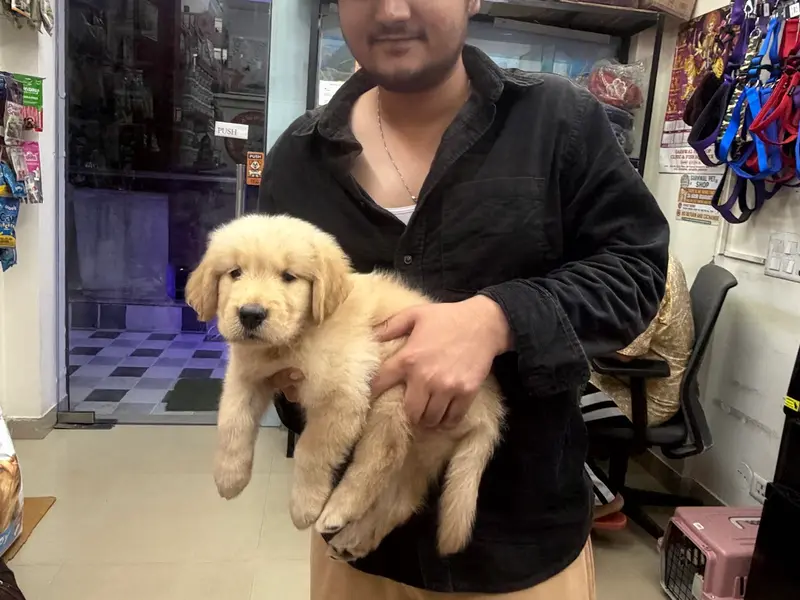 Garhwal Pet Shop | Pet Shop In Noida | Pet Shop In Greater Noida, photo 5