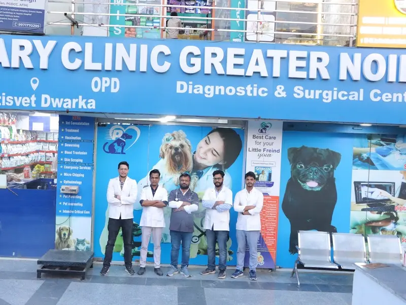 Panacea Veterinary Clinic, photo 2