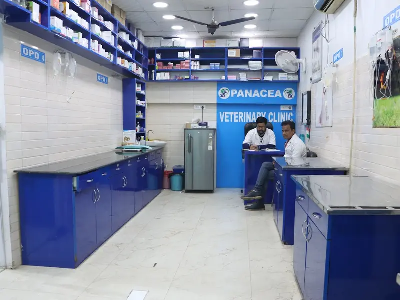 Panacea Veterinary Clinic, photo 3