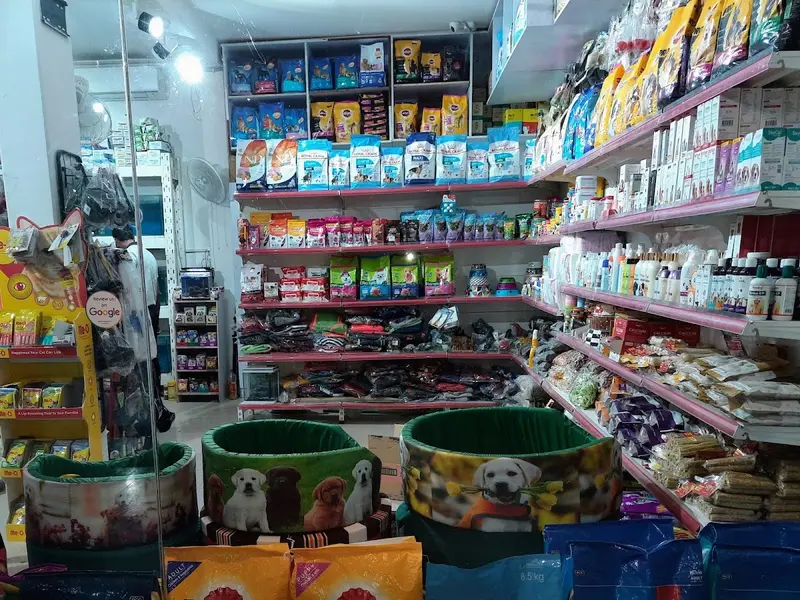 R K Pet Shop - Pet Shop In Noida | Pet Grooming In Noida | Puppies In Noida | Shih Tzu, Labrador, Maltese, Poodle In Noida., photo 2
