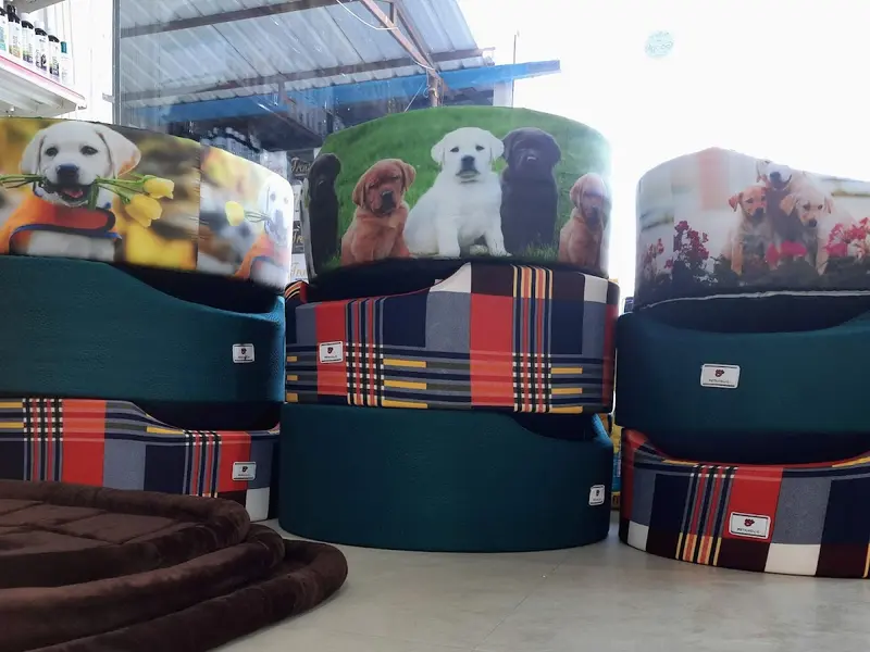 R K Pet Shop - Pet Shop In Noida | Pet Grooming In Noida | Puppies In Noida | Shih Tzu, Labrador, Maltese, Poodle In Noida., photo 3