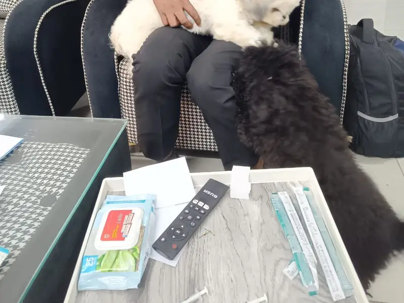 Cadovet Pet Clinic | 24/7 Home veterinary Services, photo 4