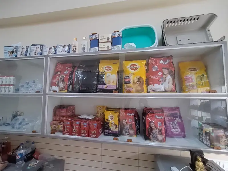 Dr Singh Pet clinic&Surgery, photo 5