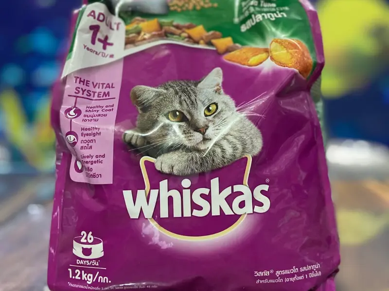 Pet's Galaxy, photo 5