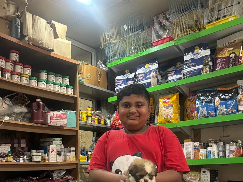 Royal pet care |pet grooming|pet store, photo 2