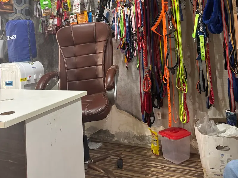 Royal pet care |pet grooming|pet store, photo 4