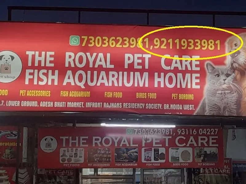 Royal pet care |pet grooming|pet store