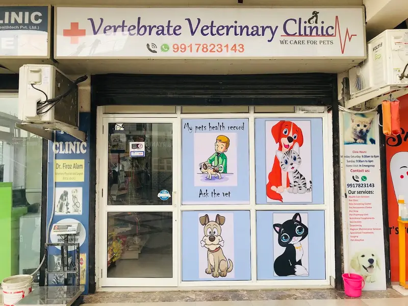 Vertebrate Pet Clinic, photo 4