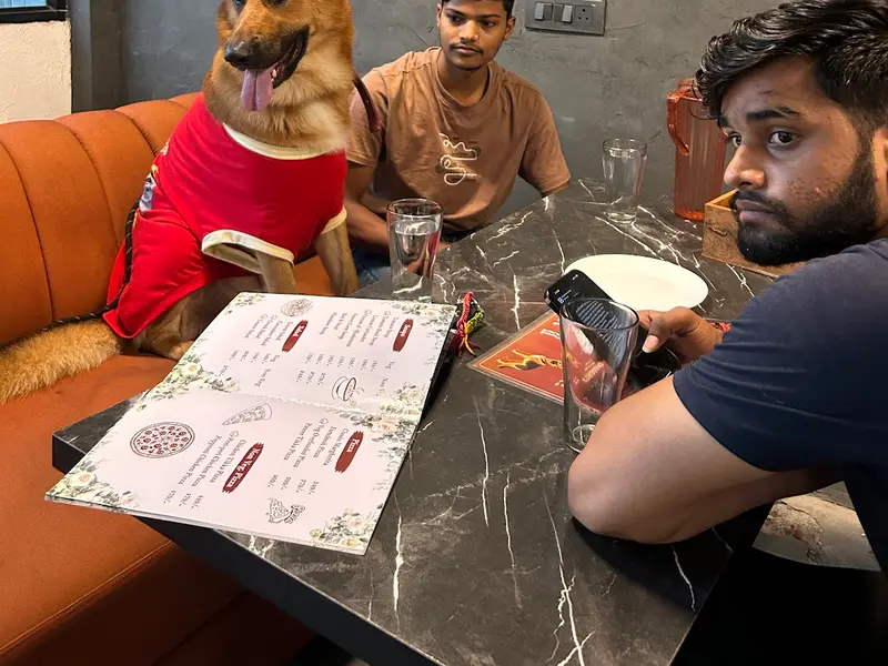 Alpha The Cafe, photo 4