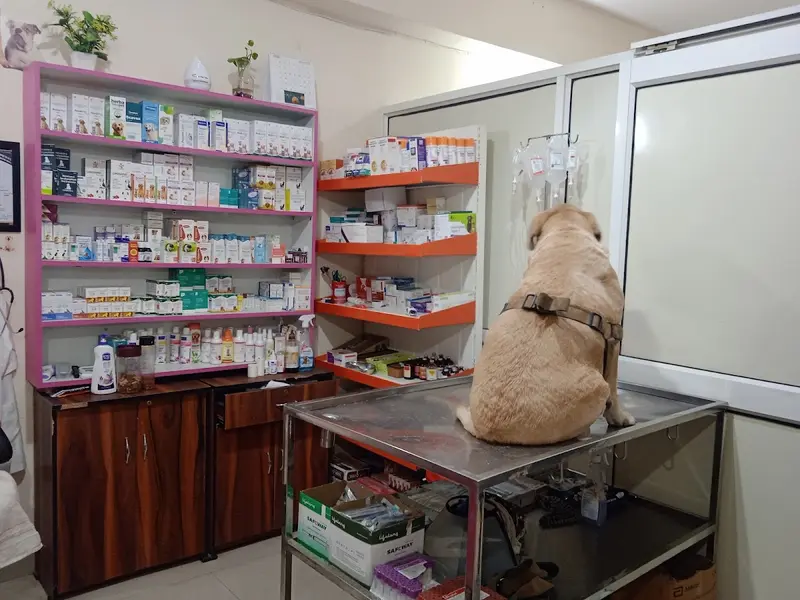 ABS PET CARE, photo 3