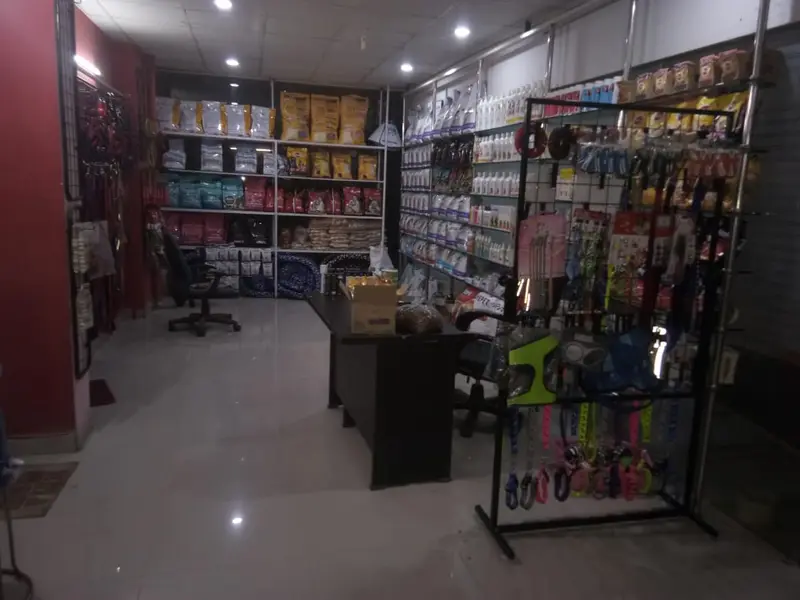 Dog World Clinic - Dog Boarding & Veterinary Near Gaur City, photo 2