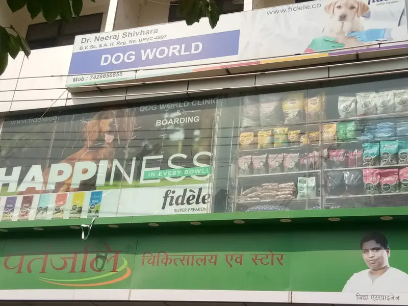 Dog World Clinic - Dog Boarding & Veterinary Near Gaur City, photo 3