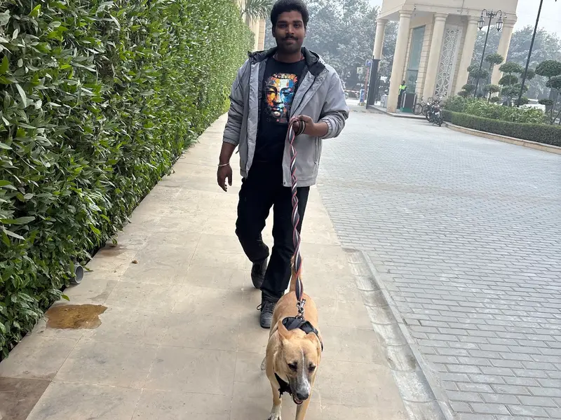 RJ pets nation family dog walking in noida, photo 5