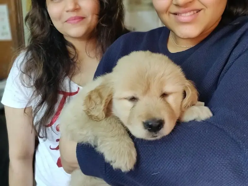 We Love Pet, photo 2