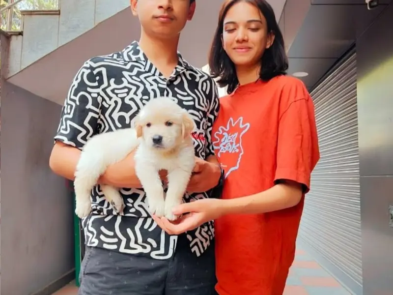 We Love Pet, photo 3