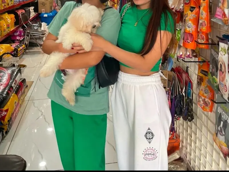 We Love Pet, photo 4