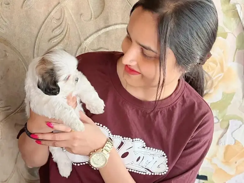We Love Pet, photo 5