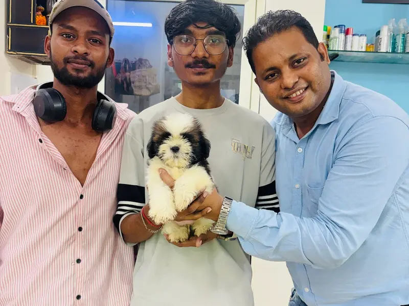KK PET SHOP Near by | Delhi NCR | Dog Kennel | Puppy for sale | Labrador | German shepherd | All breeds, photo 3