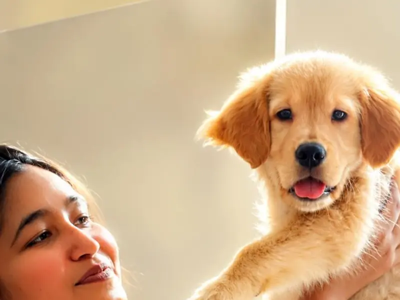 KK PET SHOP Near by | Delhi NCR | Dog Kennel | Puppy for sale | Labrador | German shepherd | All breeds, photo 5