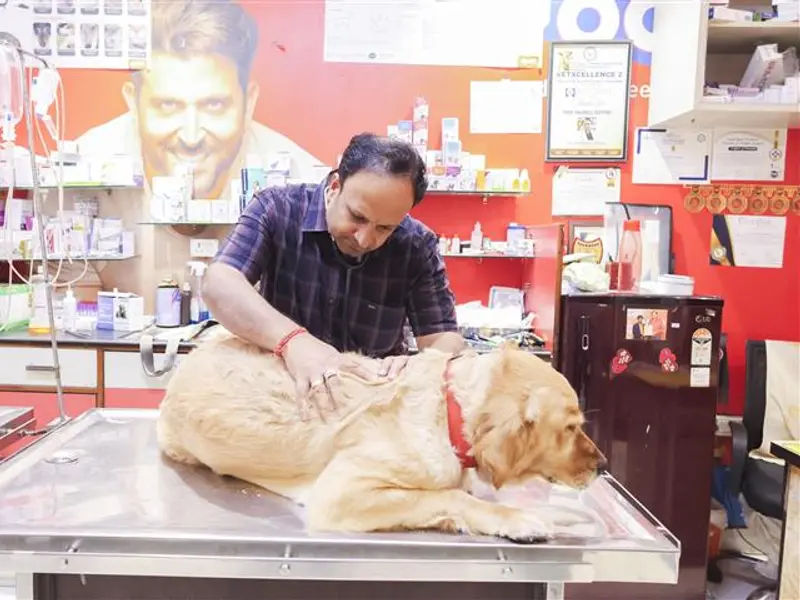 New Life Pet Clinic, photo 2