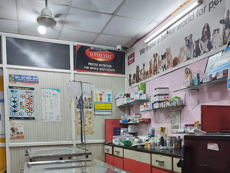 New Life Pet Clinic, photo 4