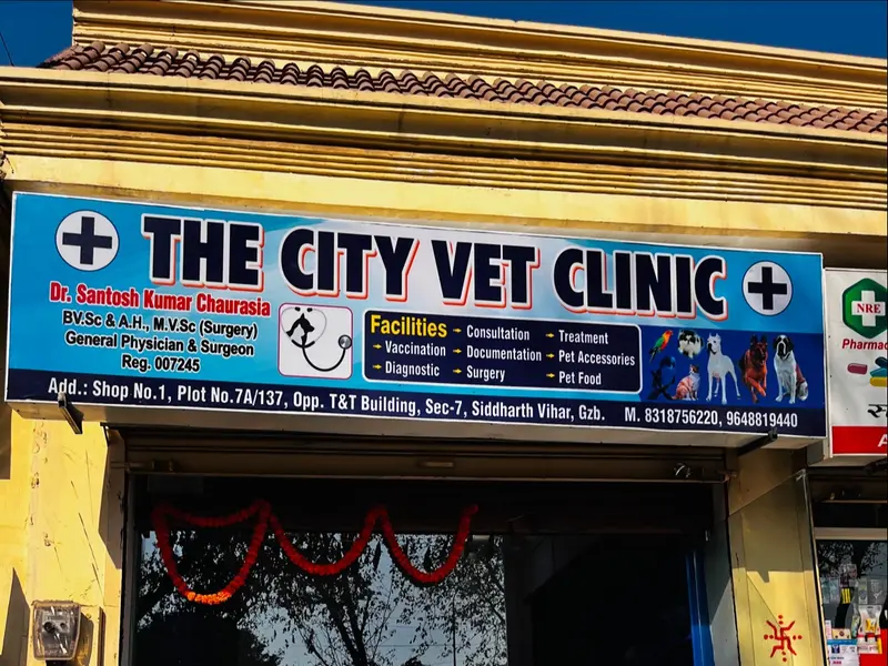 The City Vet Clinic, photo 2