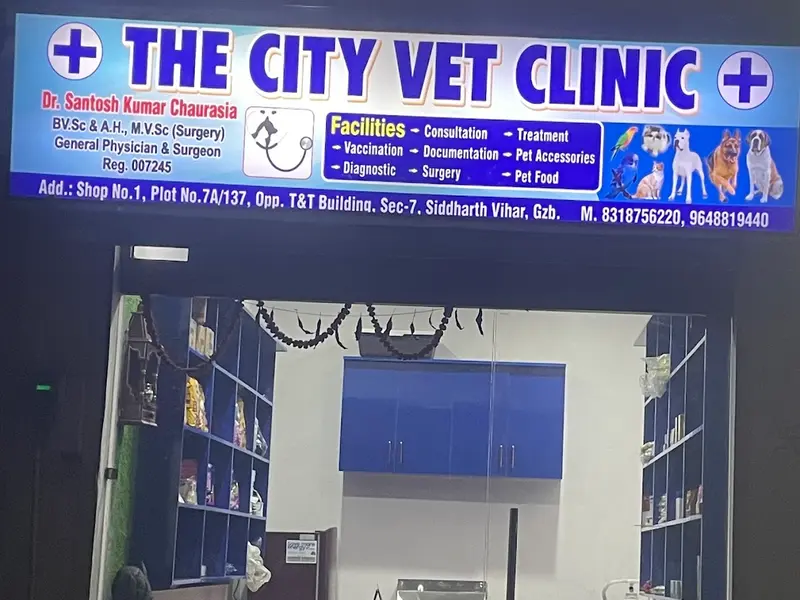 The City Vet Clinic, photo 3