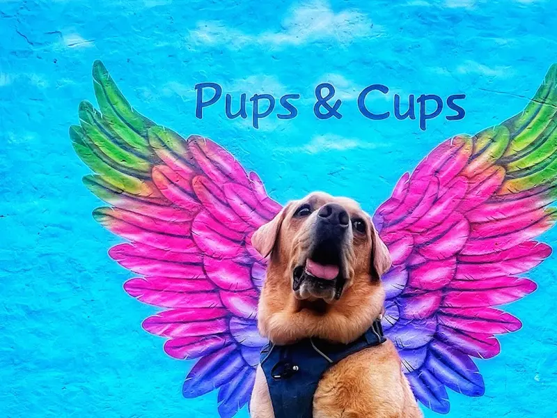 Pups and Cups, photo 3